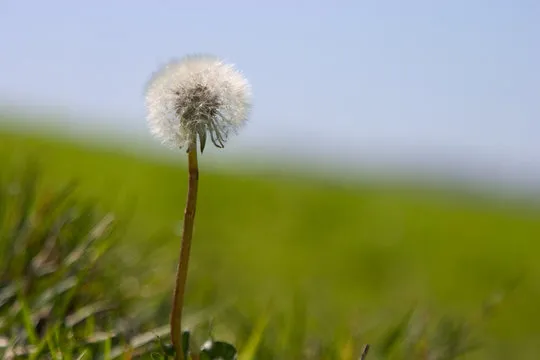 动物运动会的欢乐场景